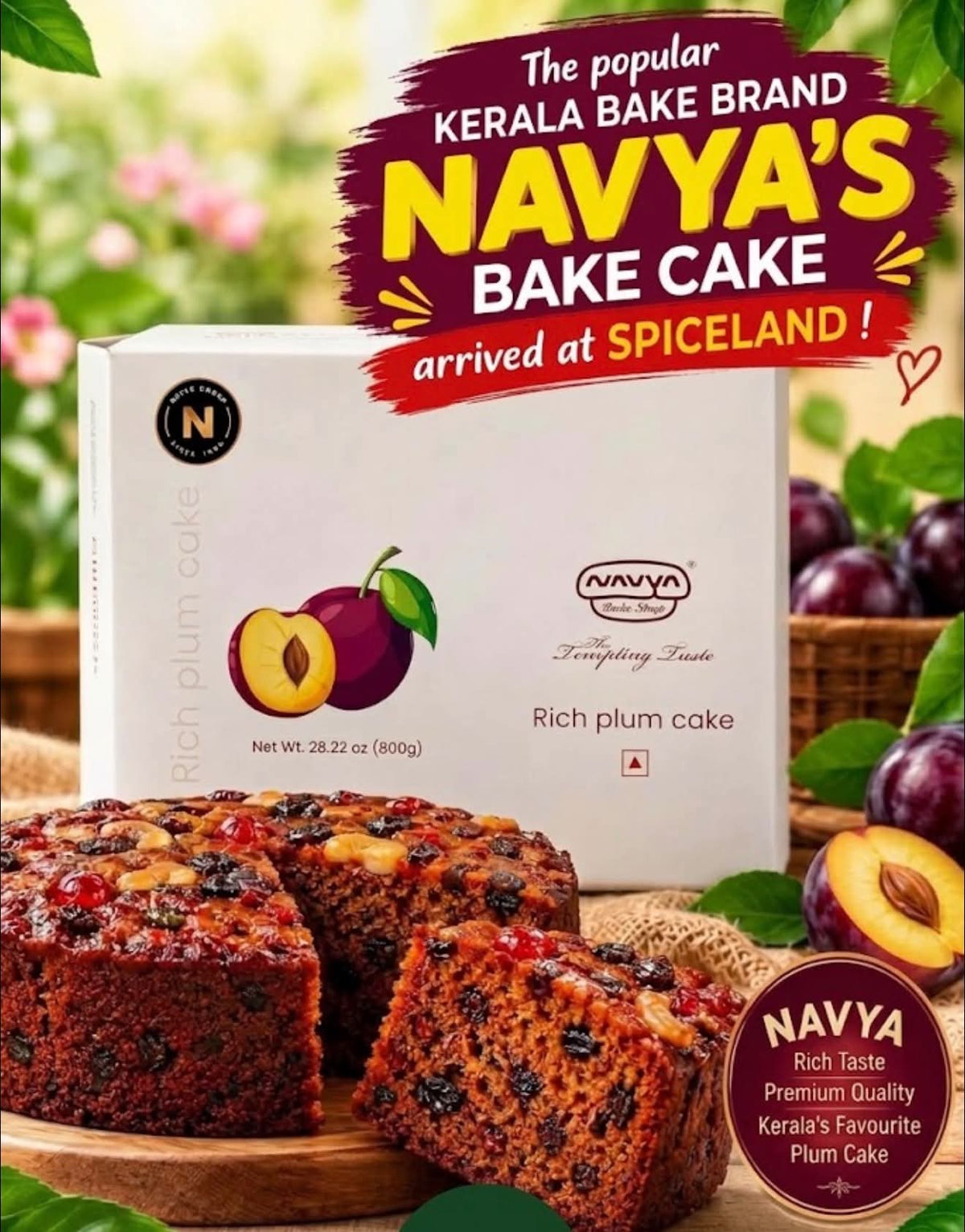 RICH PLUM CAKE 800GM ( NAVYA )